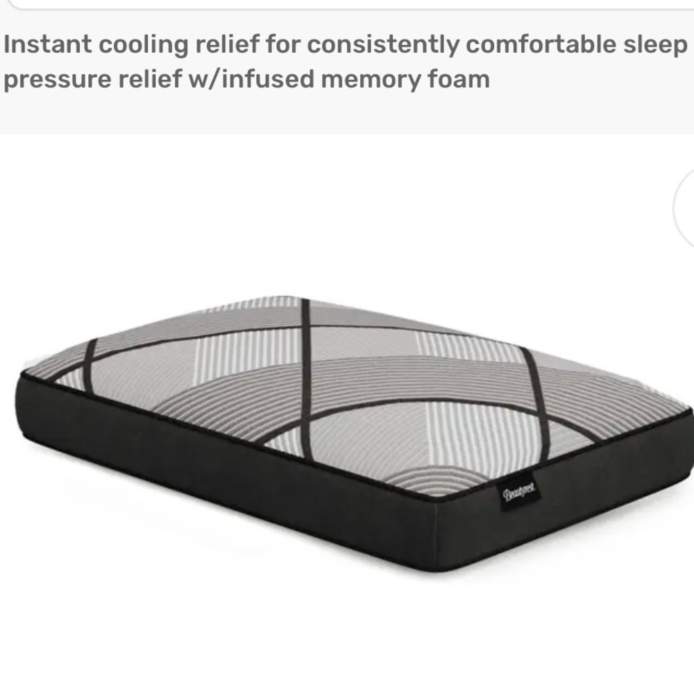 Beautyrest BlackICE Cooling Memory Foam Pillow! King!